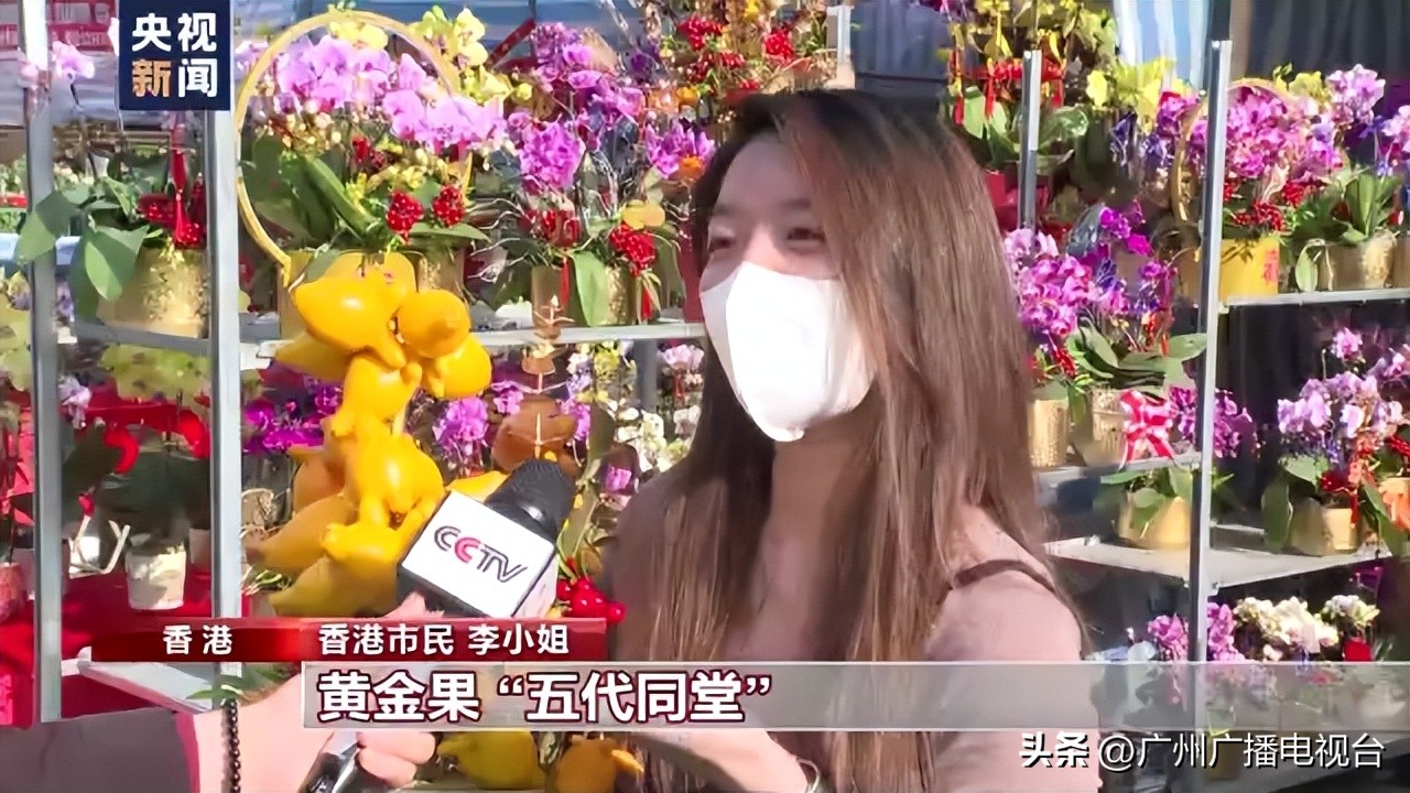 逛花市买年花香港市民寄托美好祝愿