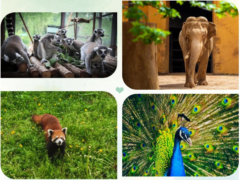 周末去哪玩推荐沈阳,周一游玩沈阳攻略