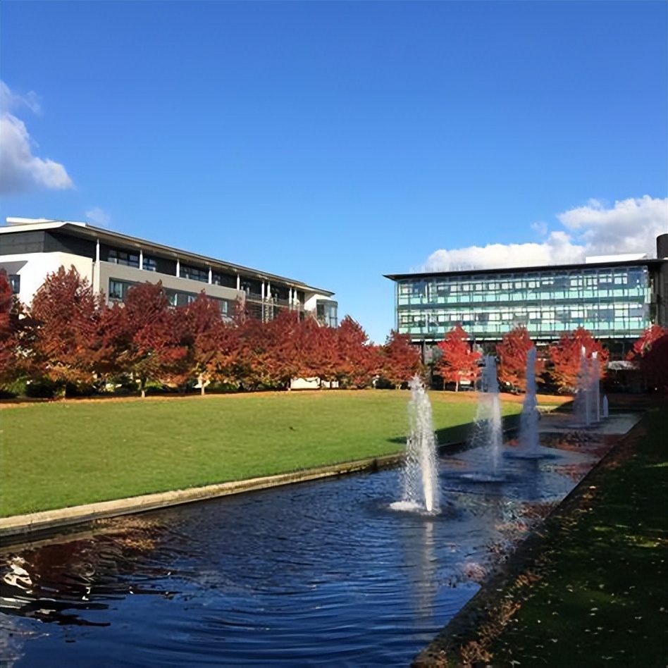 王曼爱华录取率分析,王曼爱华录取条件