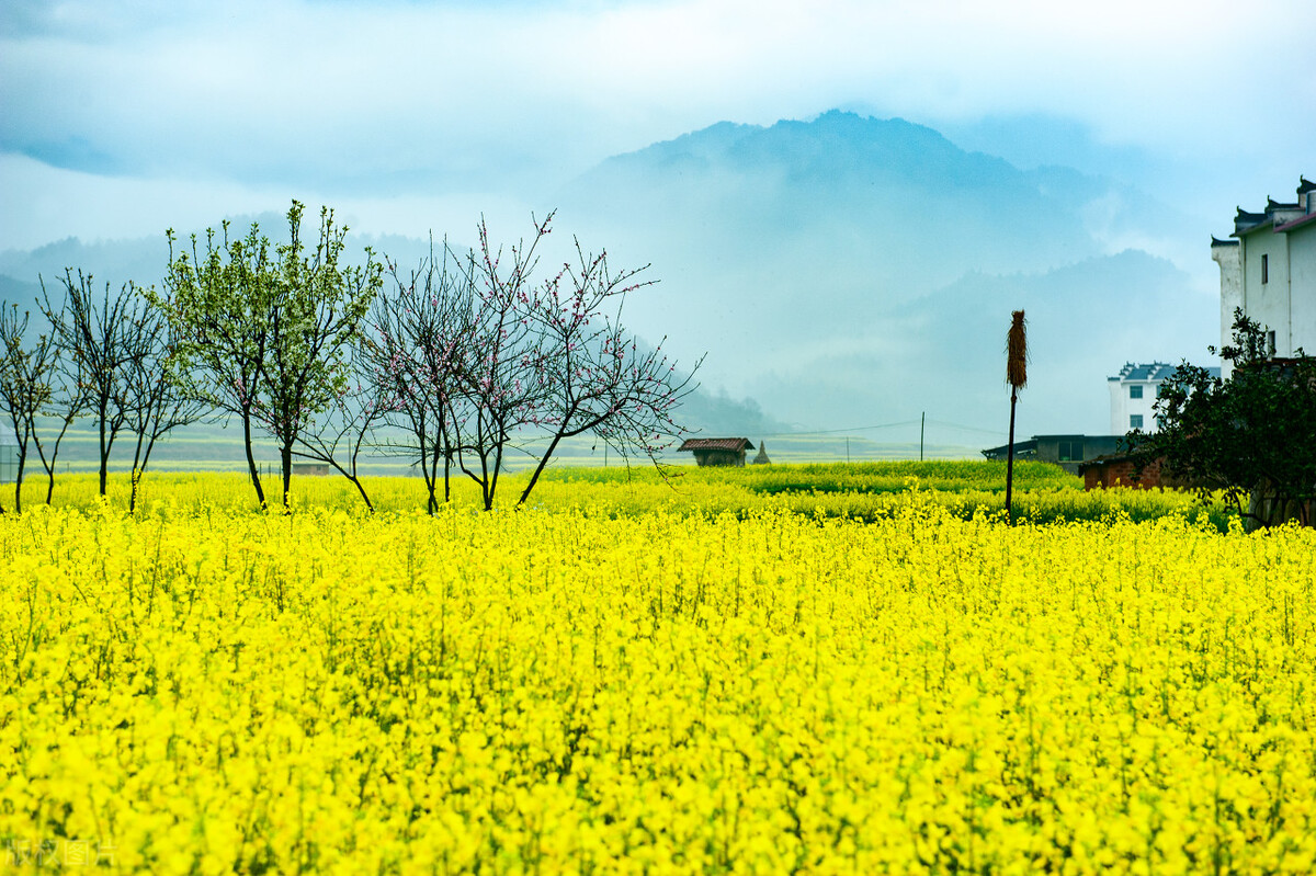 江西自由行旅游4天攻略路线推荐,江西10天自由行旅游攻略图最新