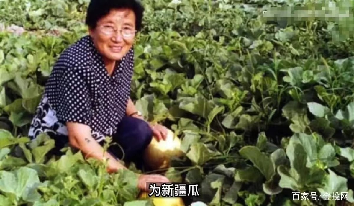 “中国人那么穷，吃过西瓜吗？”日本网友调侃，话音刚落啪啪打脸