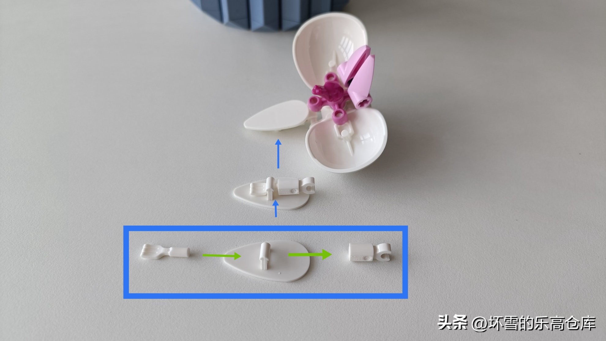 乐高兰花图片及价格,乐高兰花测评