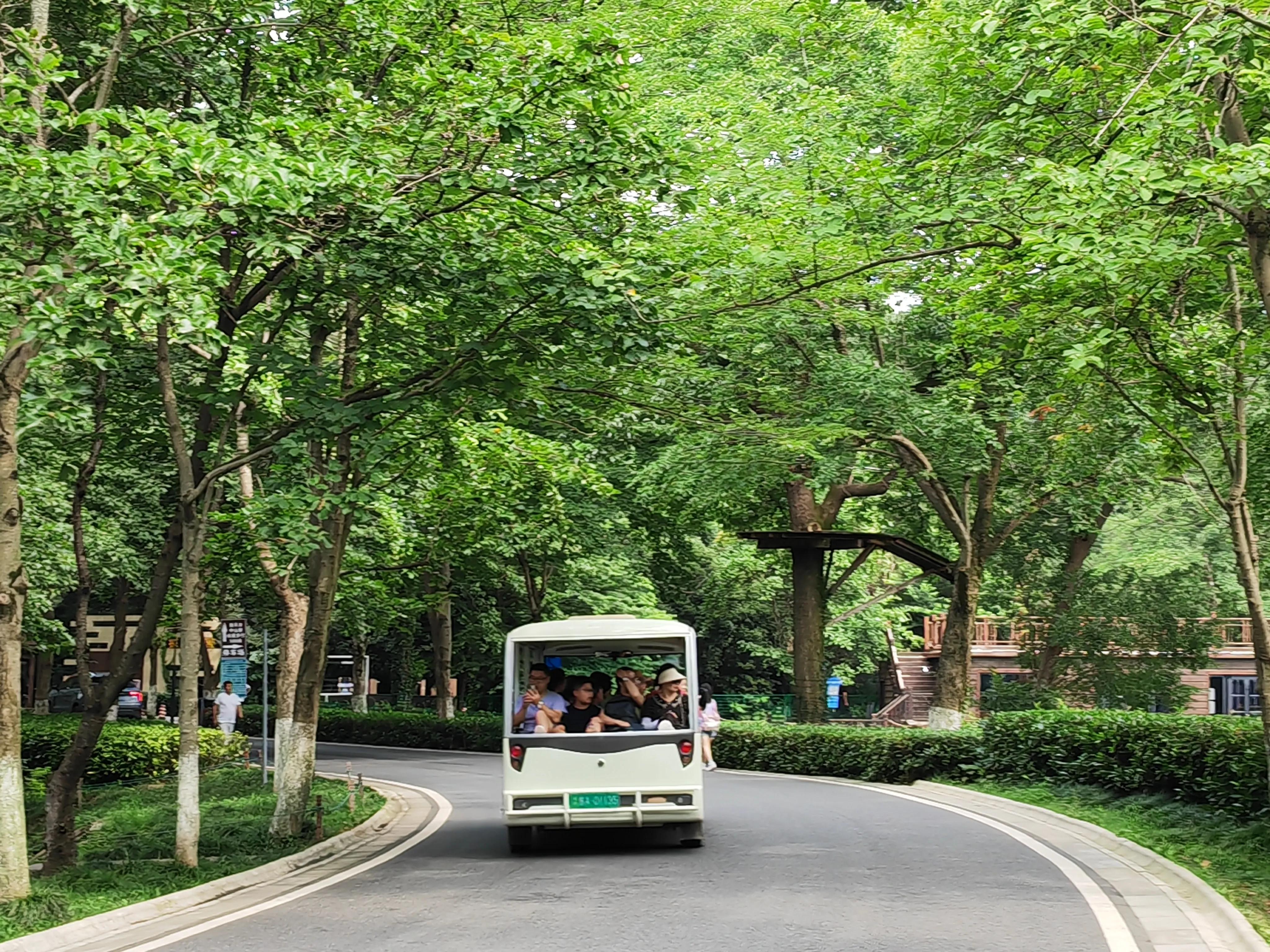 南京游玩明孝陵攻略路线,南京明孝陵好不好玩