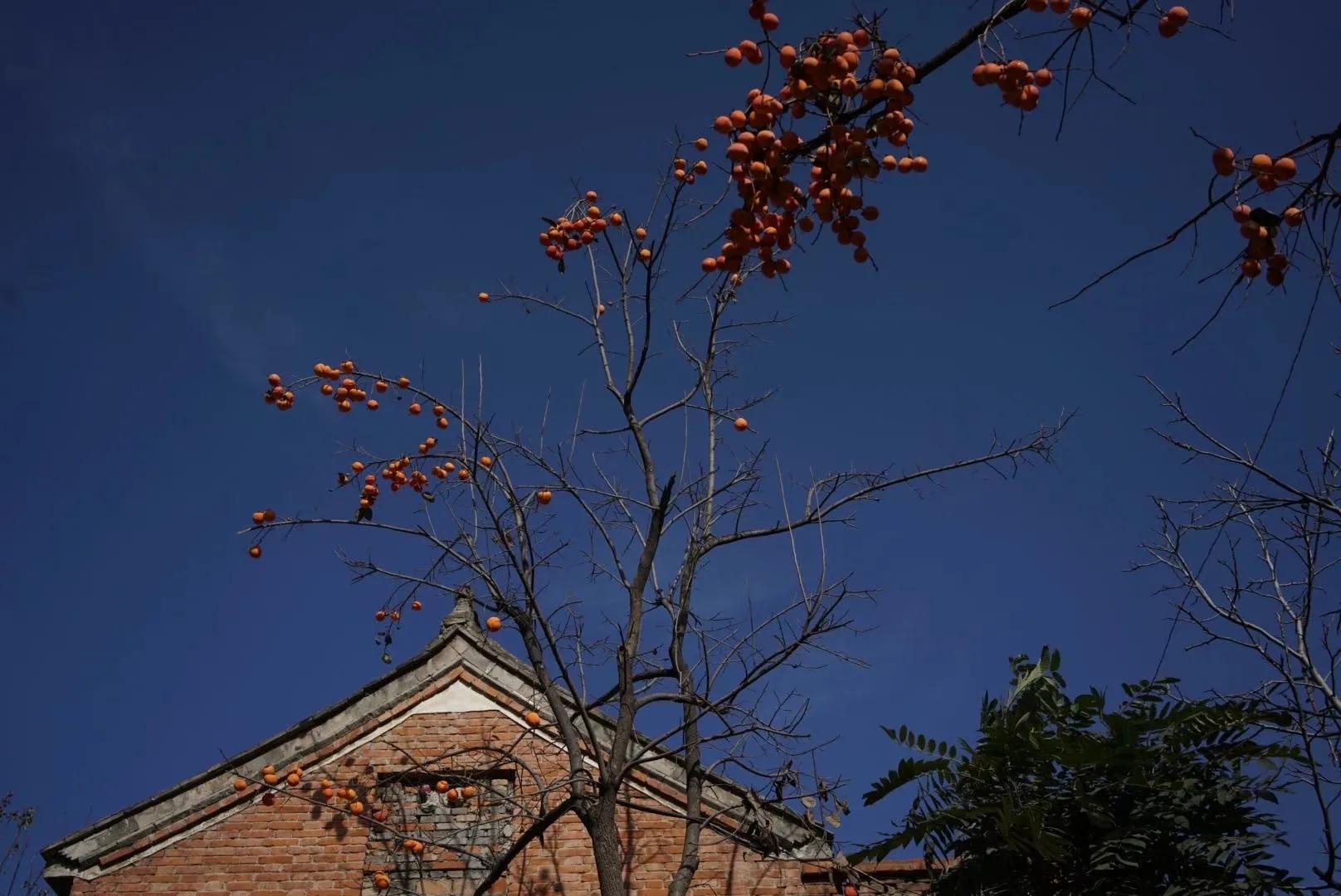 邯郸太行山大峡谷网红民宿,太行山深处风景绝佳的民宿