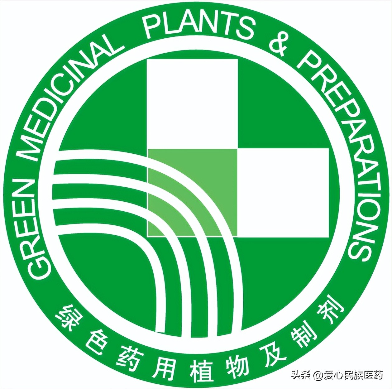 安化黄精种植视频林下黄精遇难题,林下种植一亩黄精需要多少斤种苗