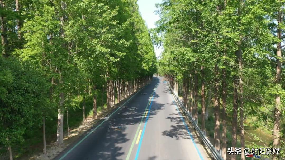 学思践悟二十大｜兴桥镇：以项目建设突破促发展跨越提速