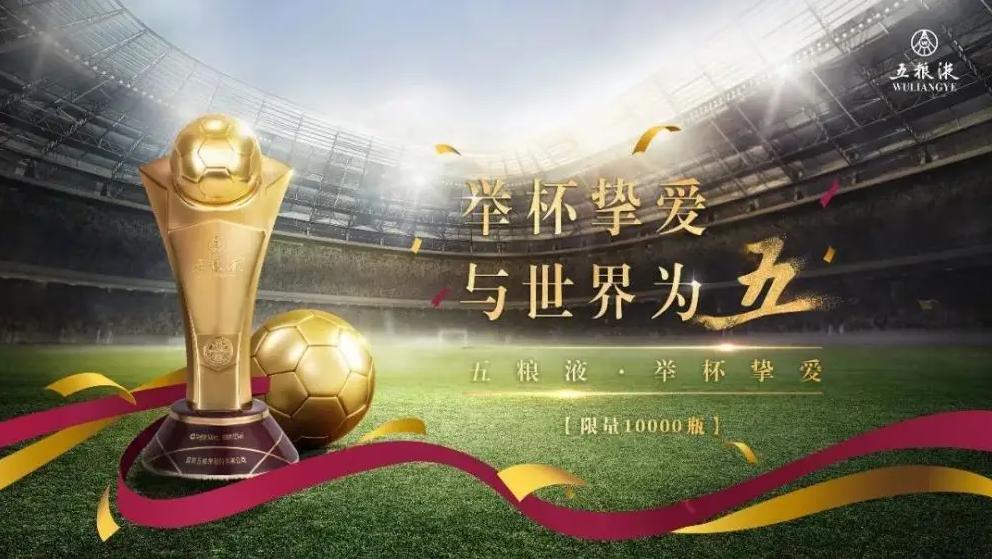 世界杯看球价值,世界杯带动的商品