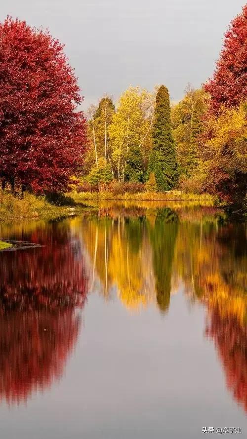 一组词|《云摇柳》《传香》《话别》《弦上桃花》《如斯》等