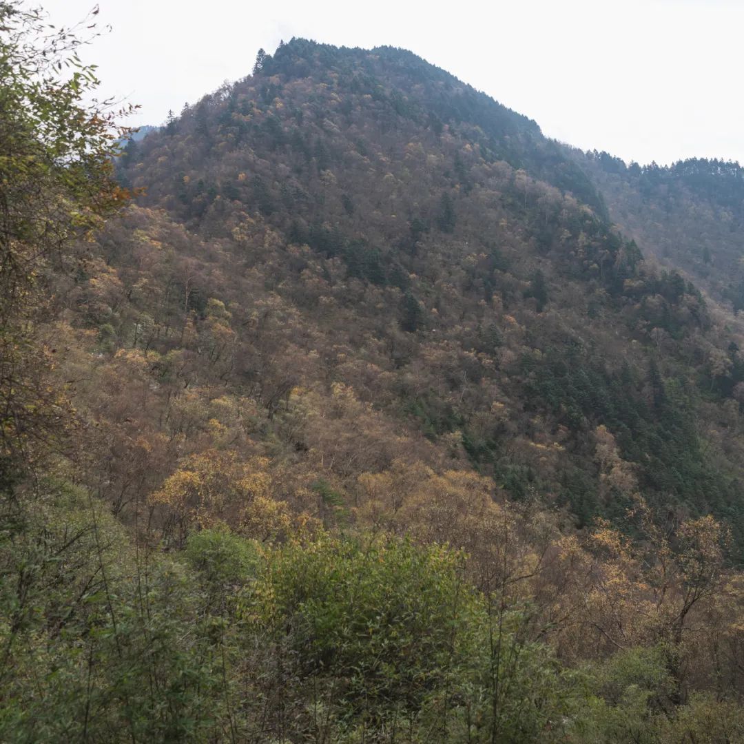 登太白山感受,太白山景区登顶拔仙台