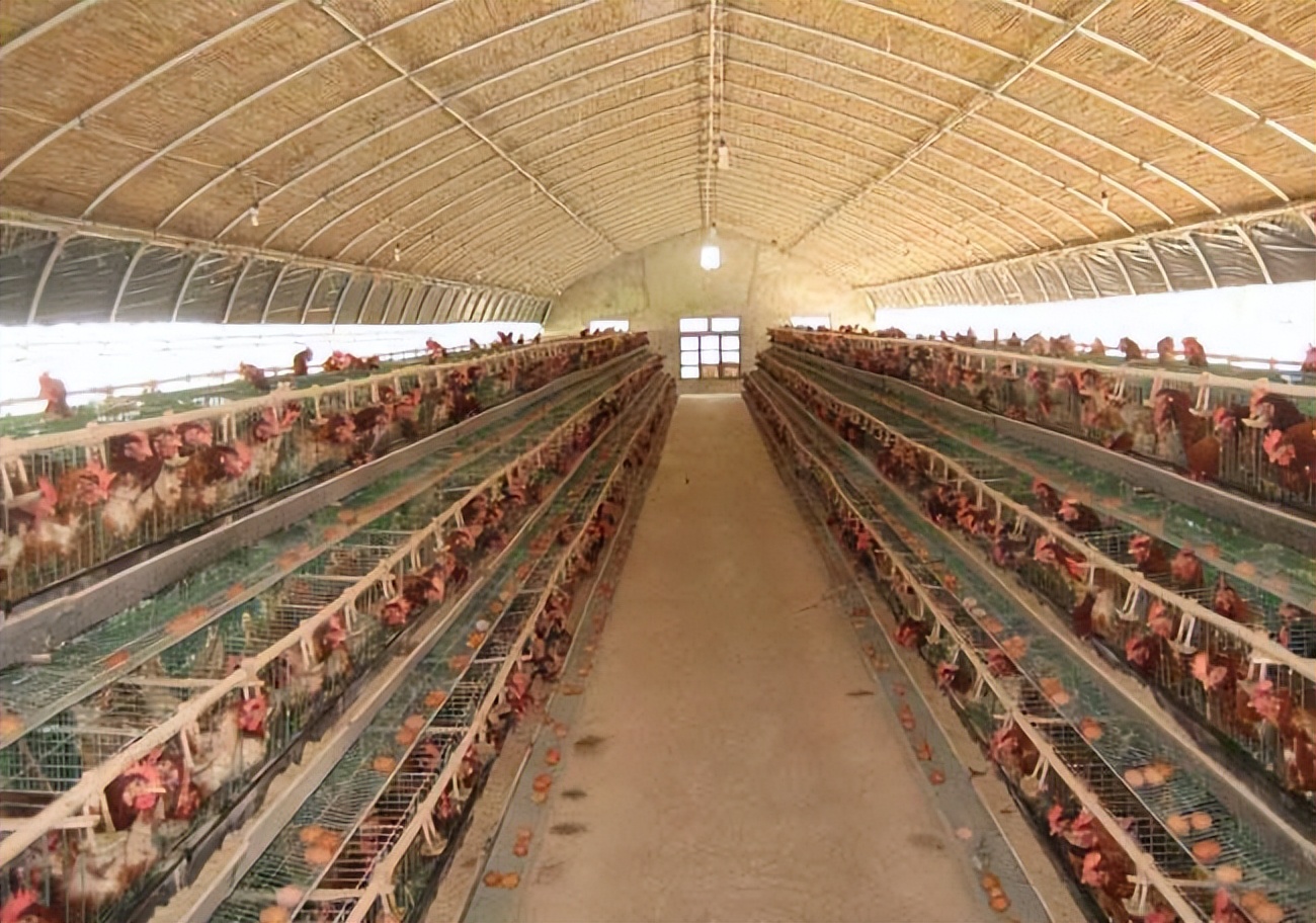 北京的养殖业发展前景,农村养殖业有发展前景吗