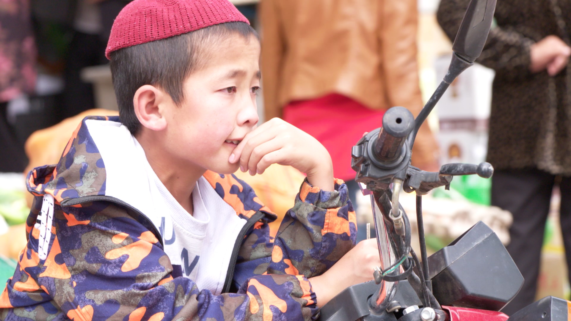 青藏高原诺木洪枸杞,青海诺木洪枸杞什么时候采摘结束