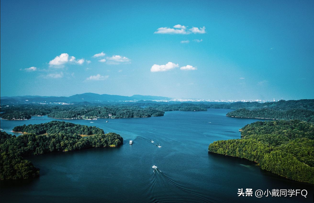 大江西的特产除了出“骚客”，还出什么？反正我知道的不多