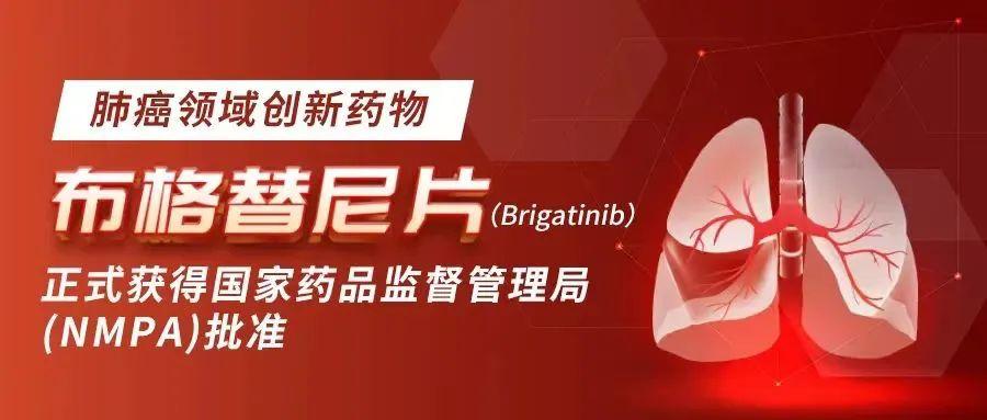 布格替尼在日本的价格,布格替尼武田