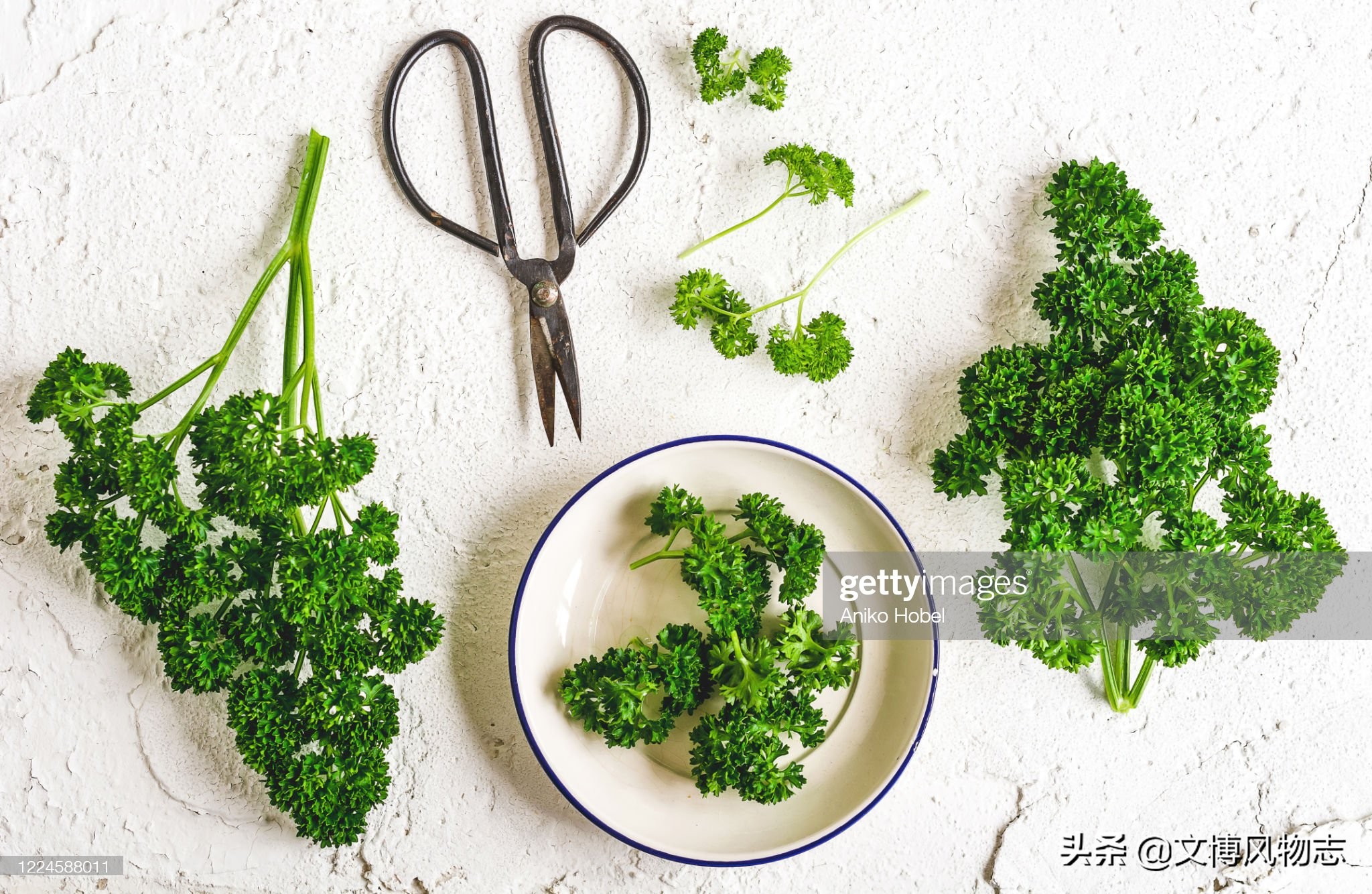 西班牙浪漫的美食之都,西班牙必吃十大美食