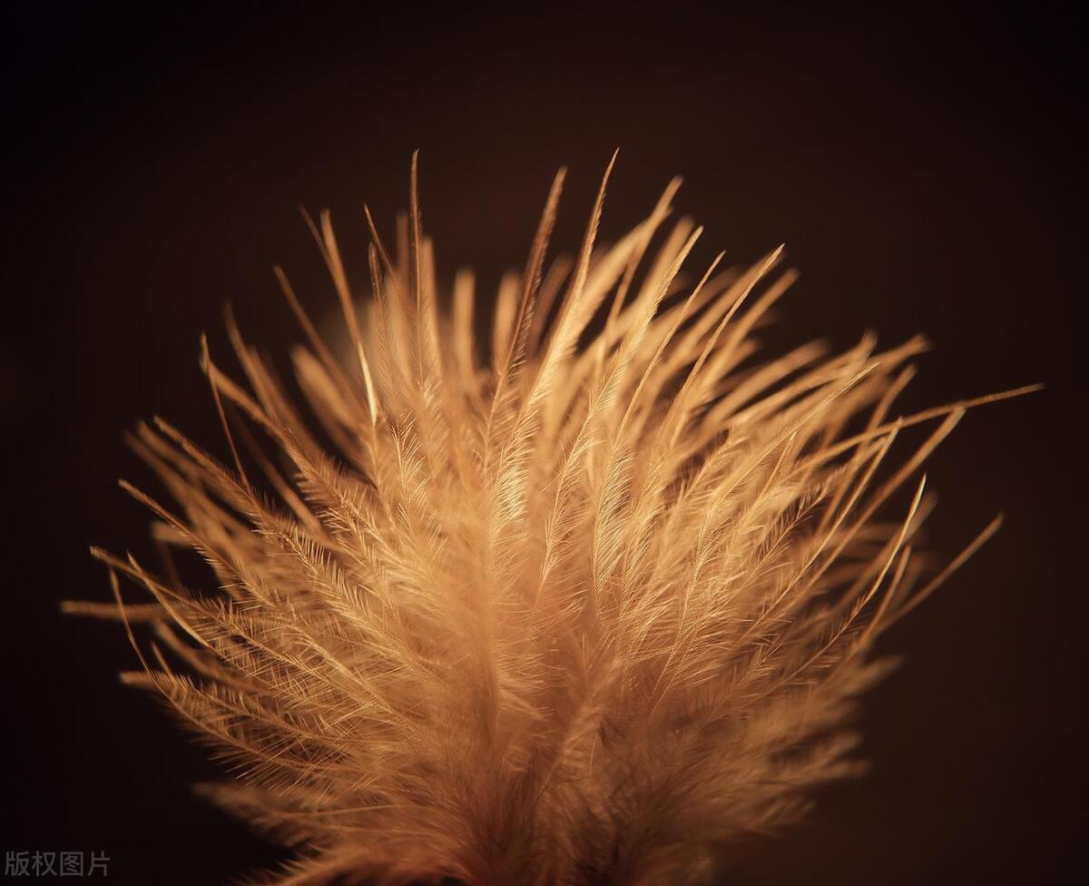 理财产品爆雷解决办法,理财平台爆雷怎么赔付