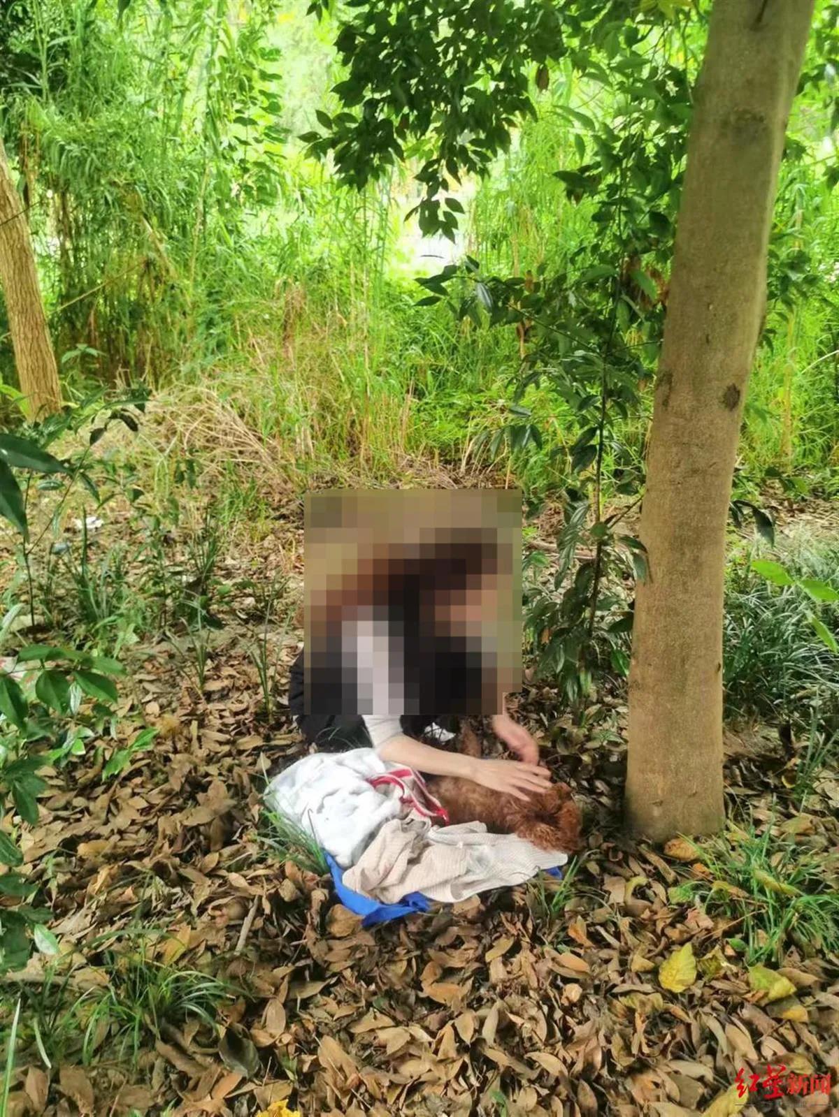 为啥毒狗的事件这么多,为何毒狗事件这么多