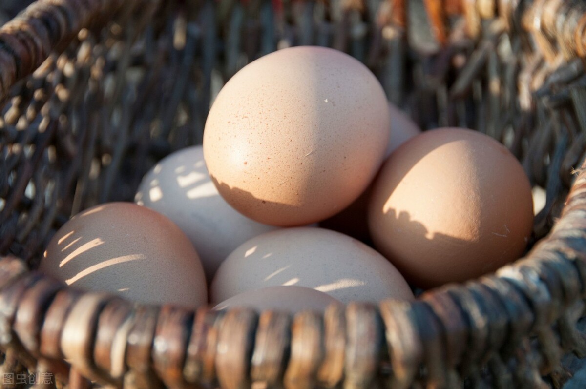 蛋鸡产蛋越来越小是什么原因,产蛋鸡产小蛋的原因
