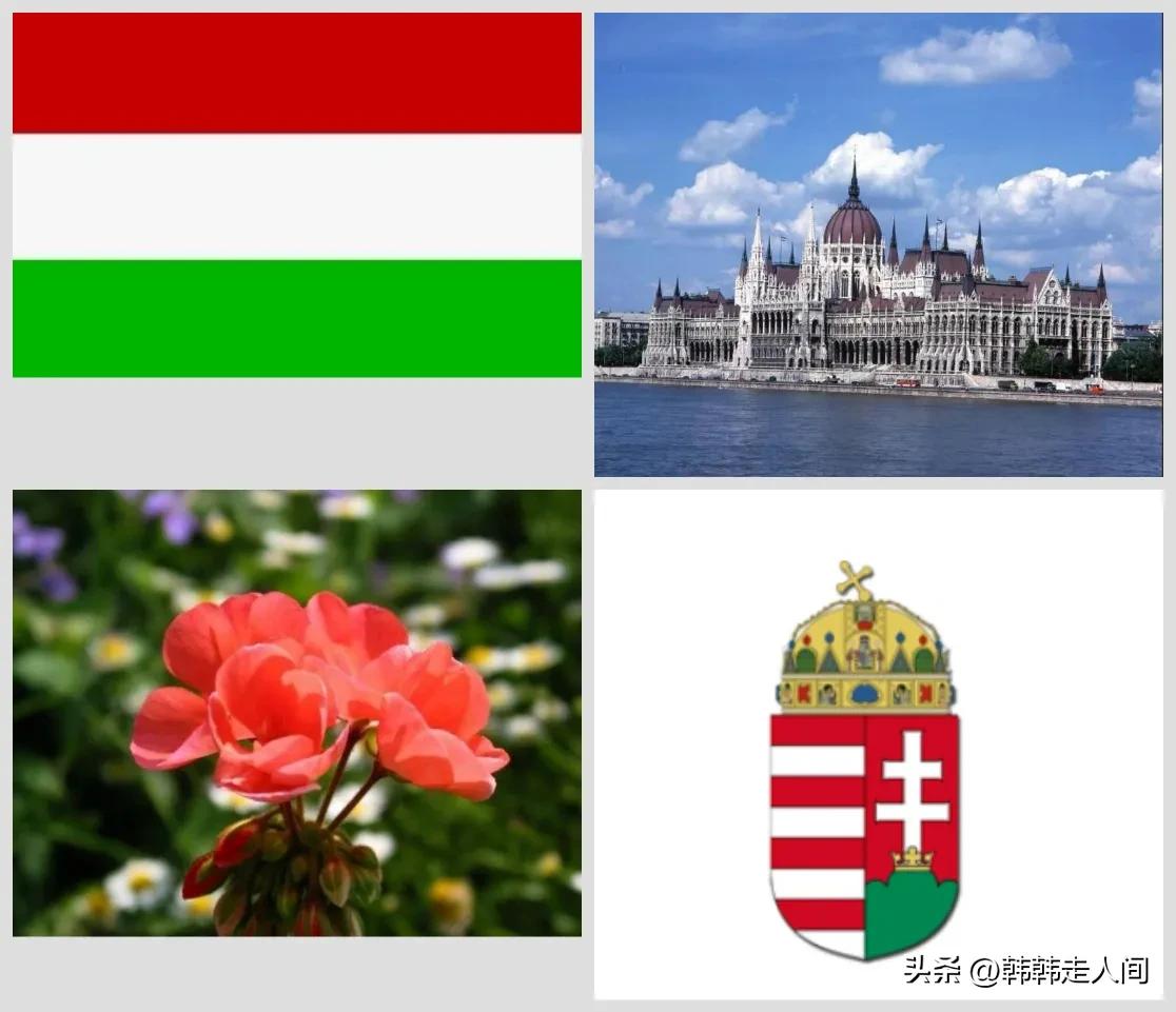 外媒评价匈牙利力挺中国,匈牙利在欧盟力挺中国
