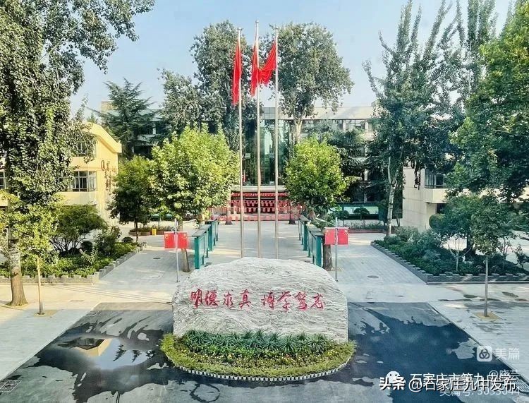 九年级新年贺词,九年级的新年贺词