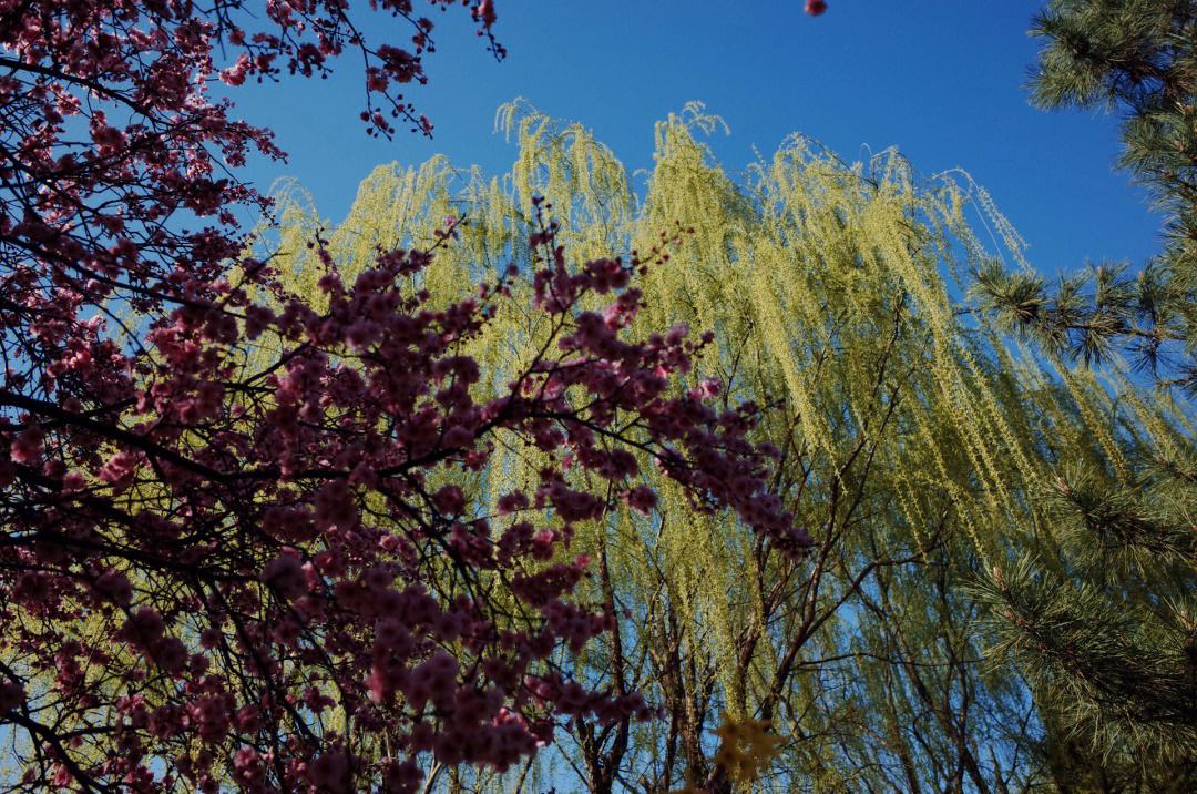 铁道兵战友相聚诗,铁道兵战友之歌简谱