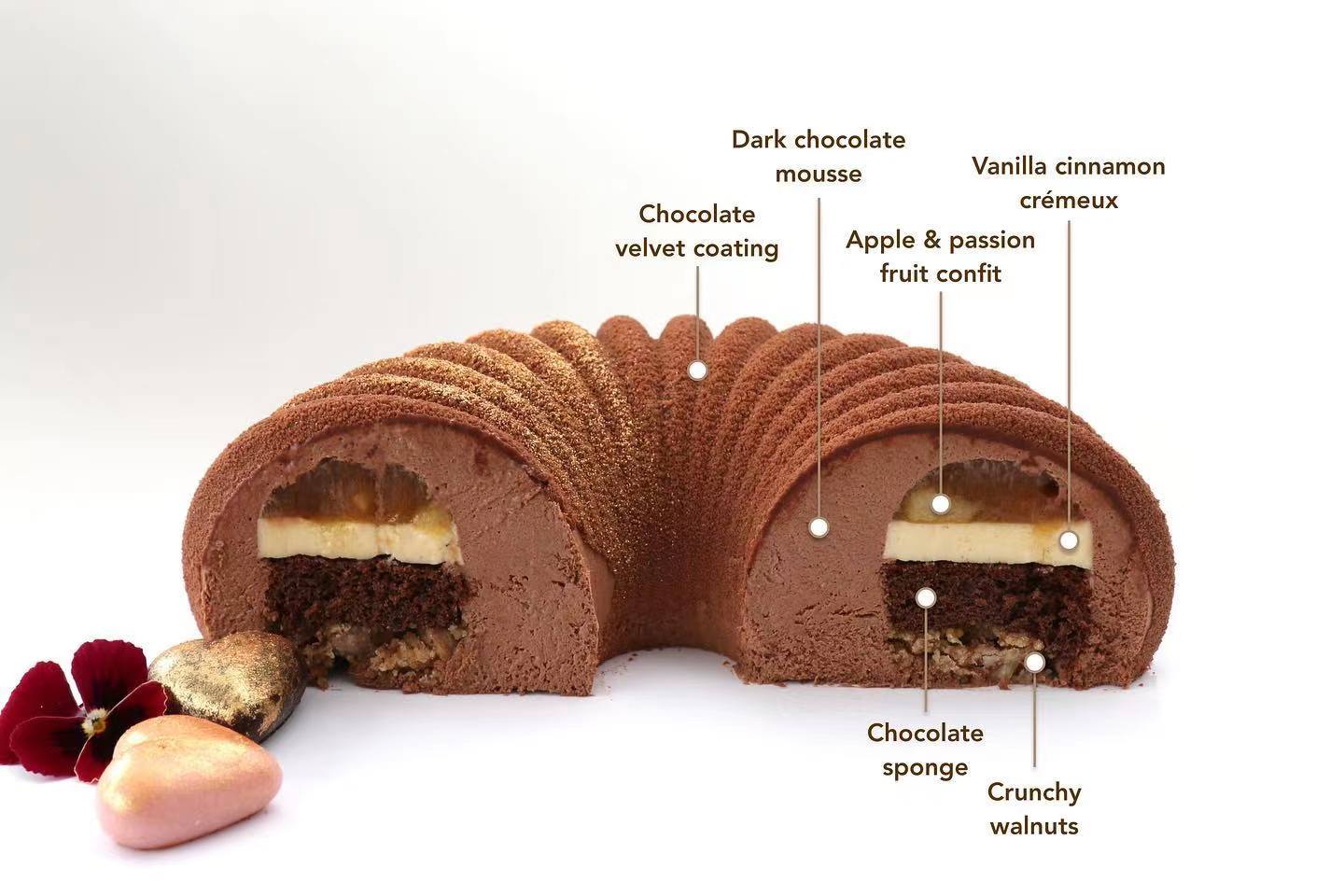 蛋糕切面,蛋糕两层夹心切面图片