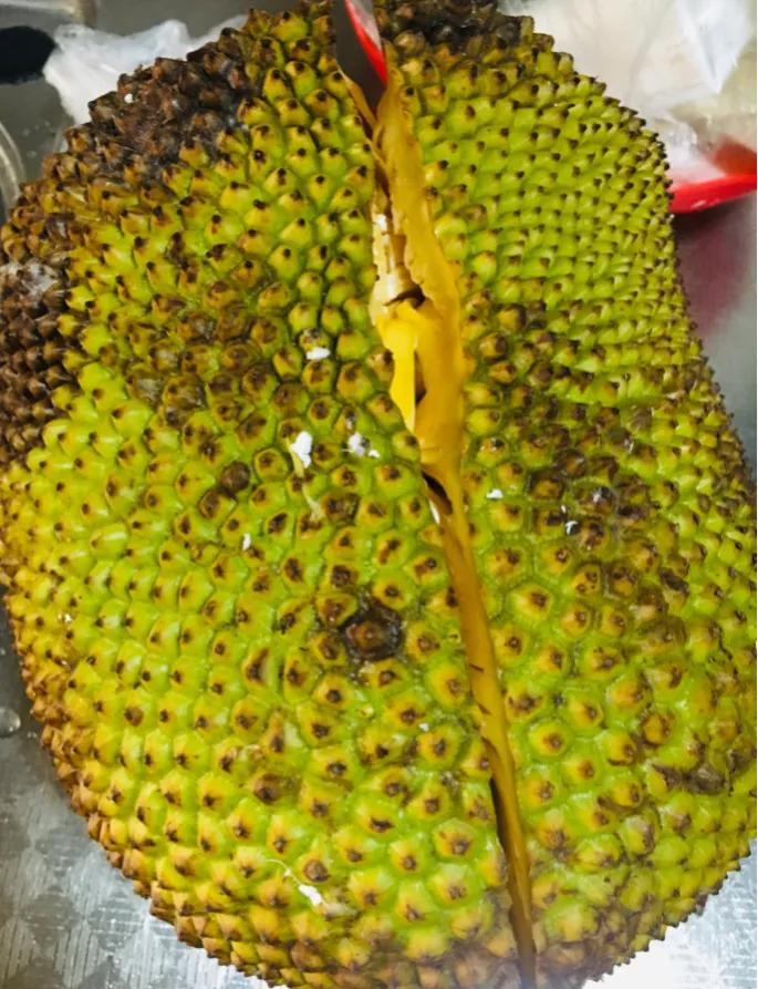 菠萝蜜怎么剥才不会出粘液,剥完菠萝蜜怎么洗掉粘液