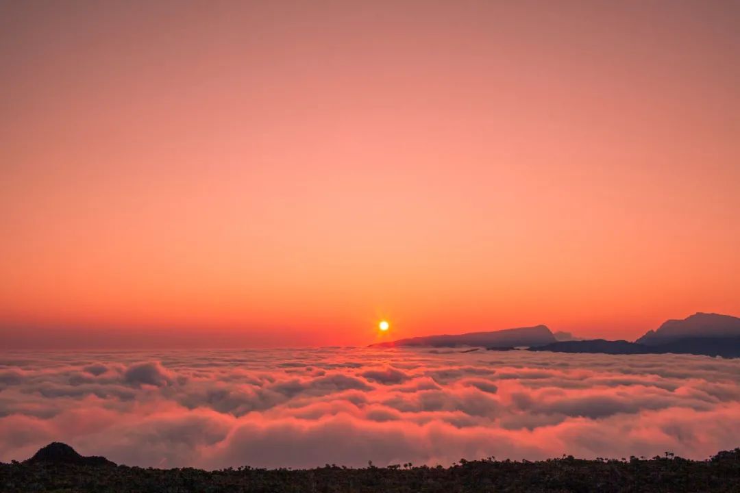 狂傲的诗词,李白最狂傲的十首诗词