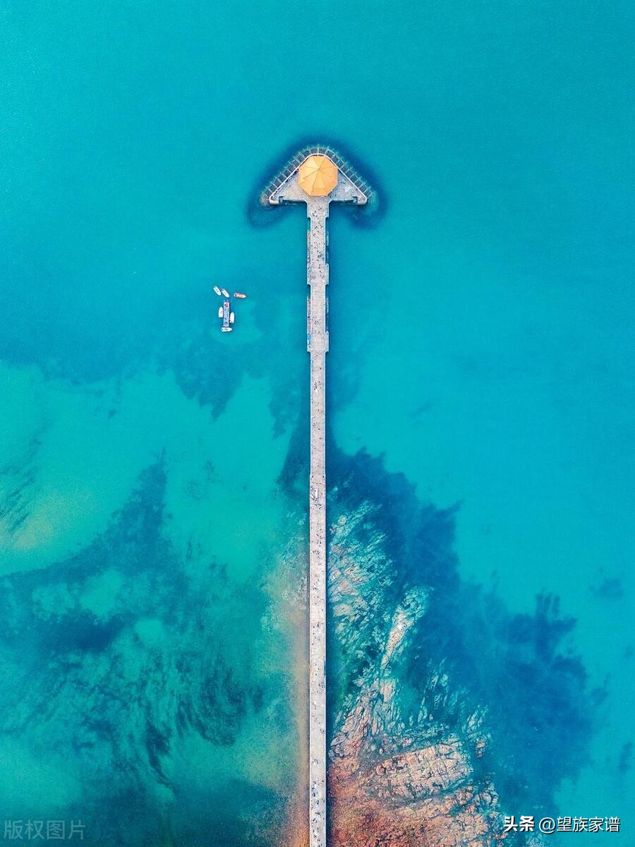 青岛家谱大全,寻根31集免费观看