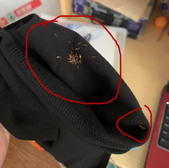 消费者新买的衣服上有大量蚂蚁，爱库存平台回应：沟通协商补偿消杀费用