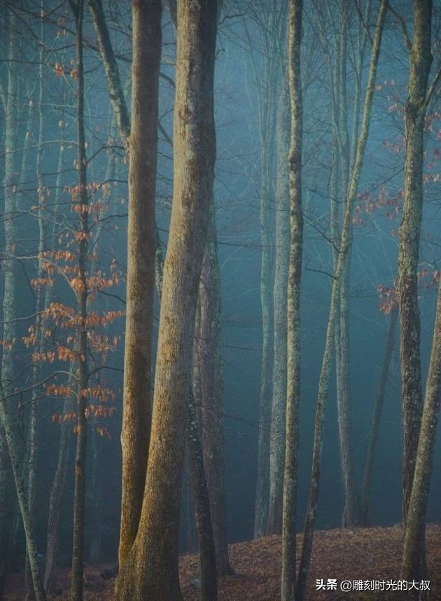 ai摄影师获奖,ai和摄影结合的摄影师