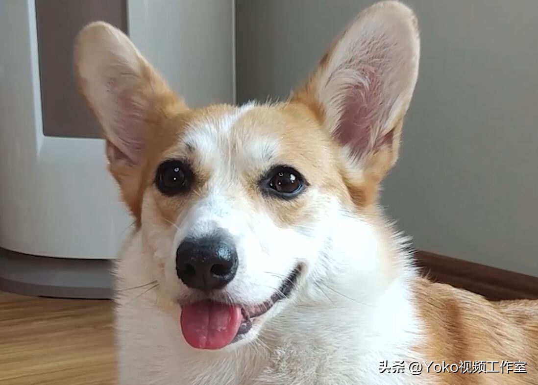 2021款电脑怎么验机,2022买笔记本如何验机