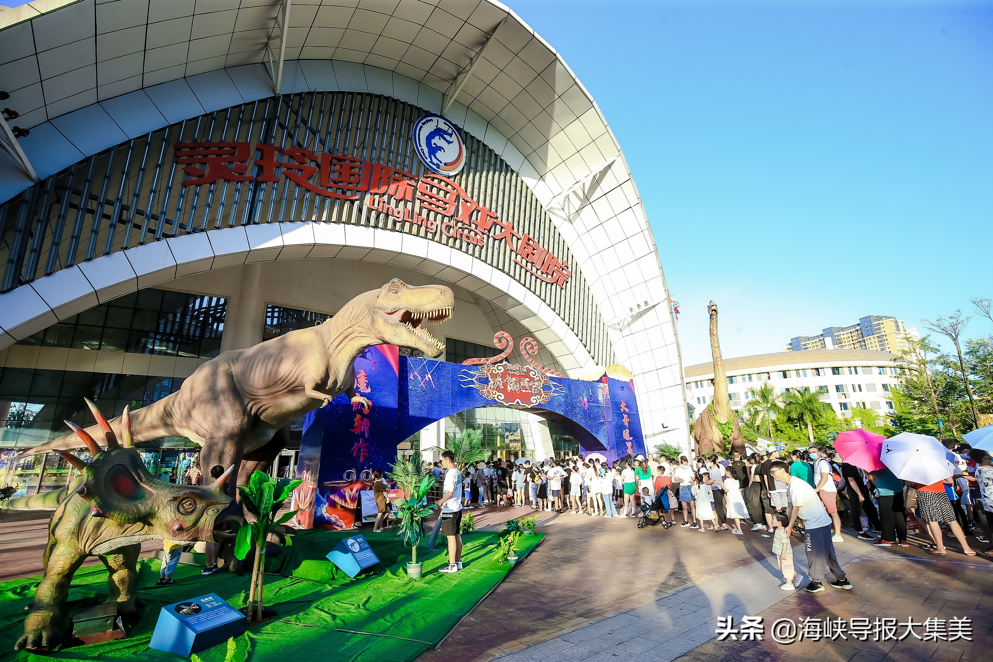 灵玲国际马戏团求婚,灵玲国际马戏团队