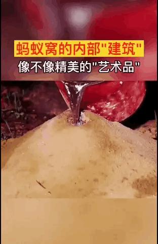 街头魔术大师秀操作，手法实在是太厉害了，找不出任何的破绽