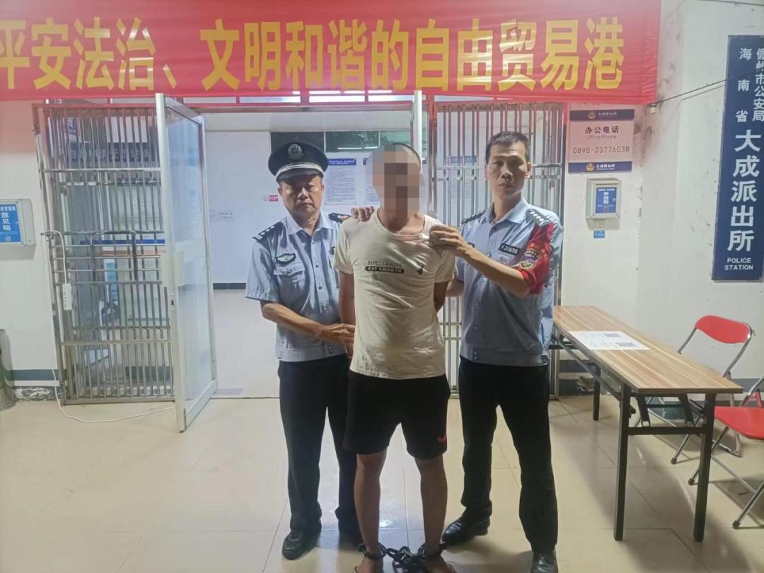 能力提升建设年丨研打一体同频共振儋州警方“高效化”社会治安治理成果显著