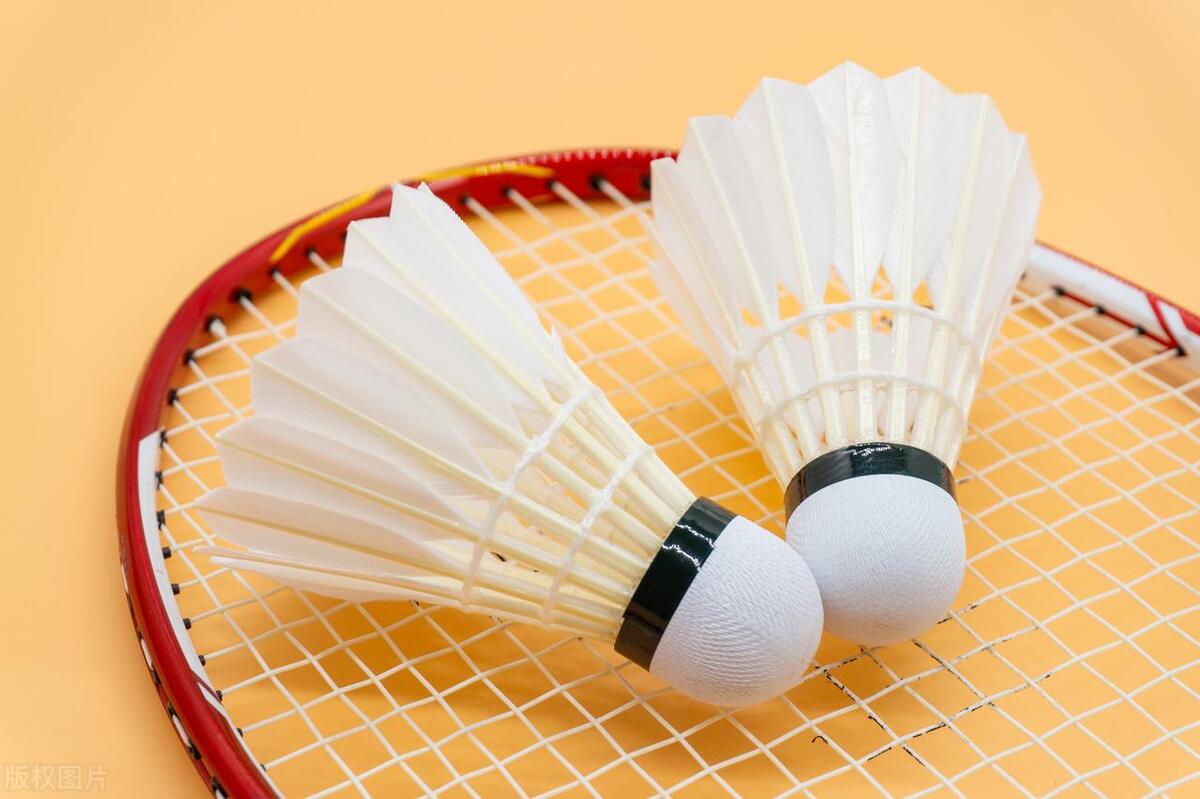 国产十大羽毛球品牌,高神羽毛球拍是国产的吗