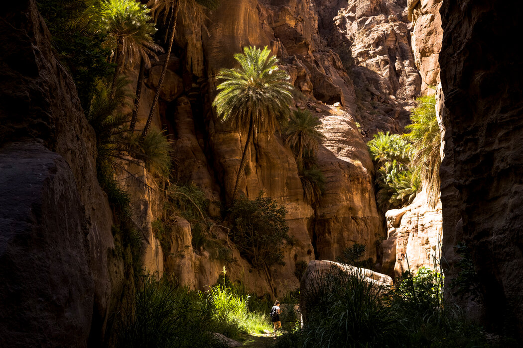 疫情后哪个国家旅游最好,疫情后海外旅游推荐