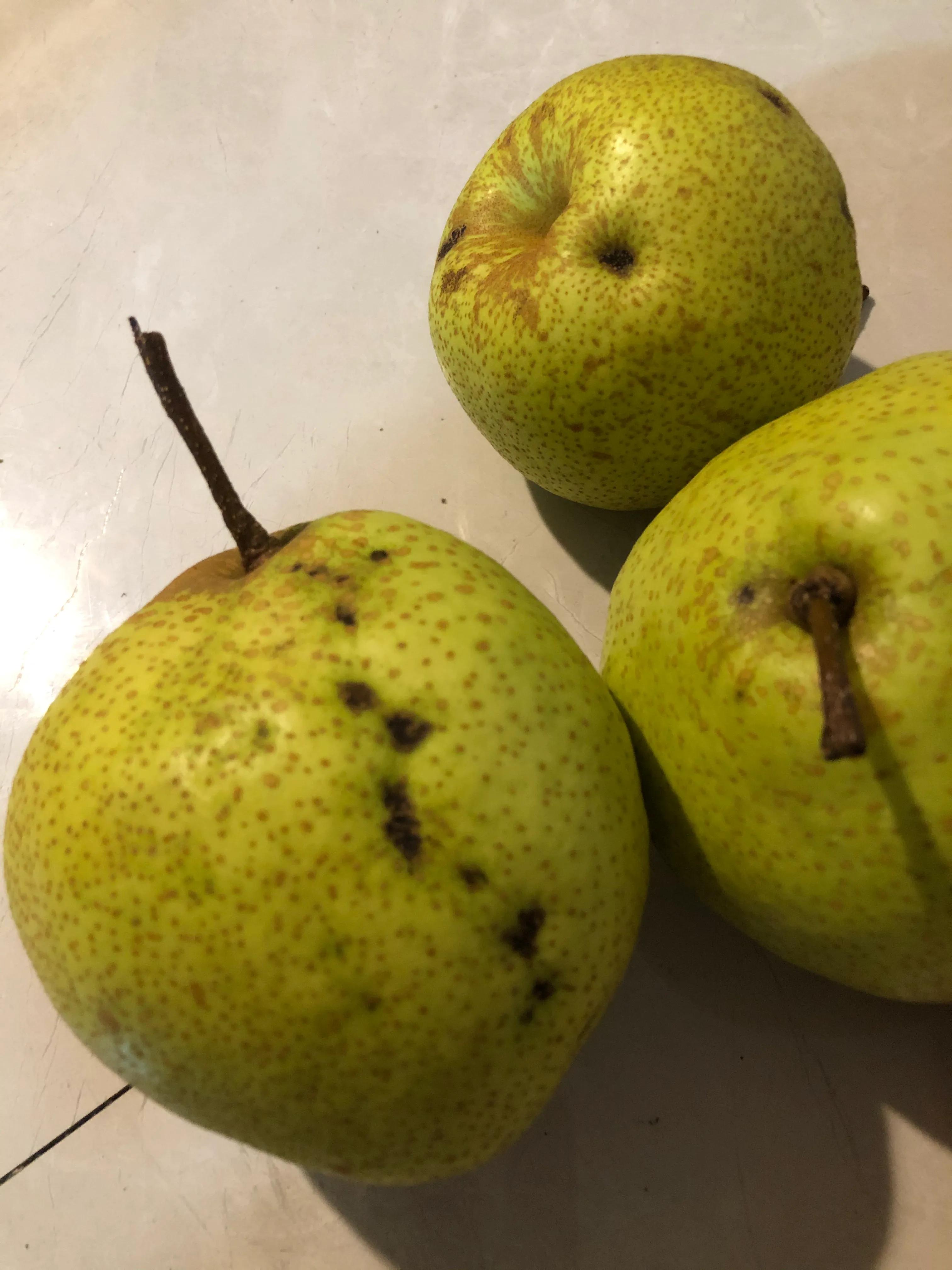 贵阳疫情期间在哪里批发水果,贵阳疫情食物短缺情况分析