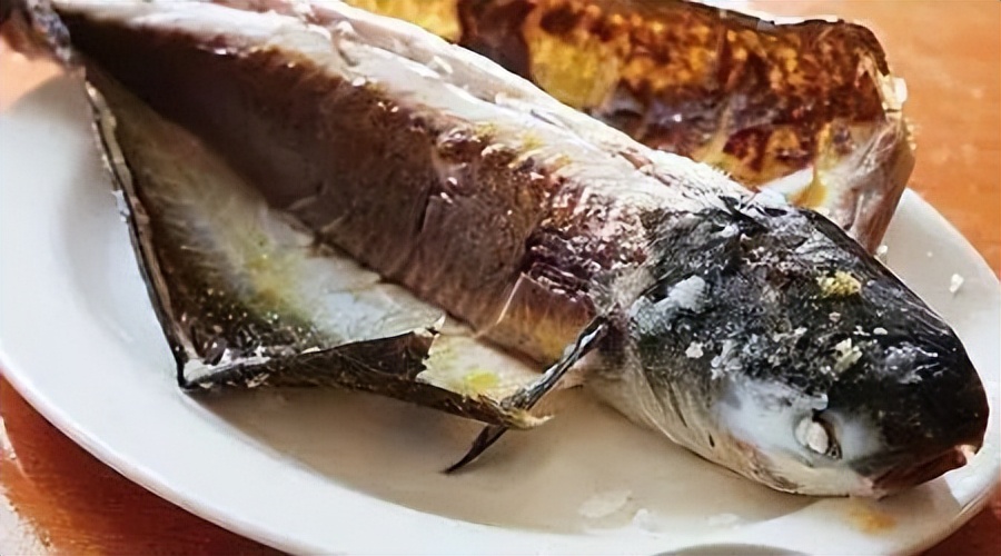 深圳光明乳鸽哪里最正宗,深圳乳鸽特产