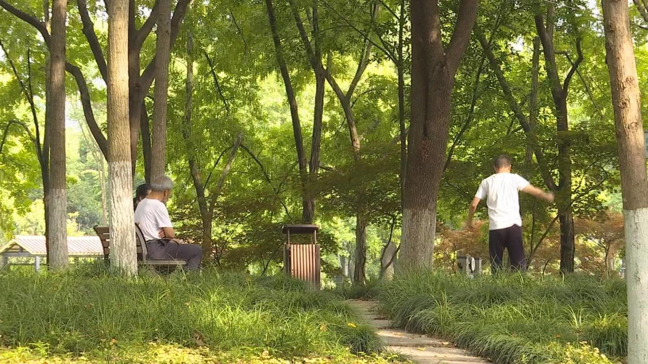 警惕又到蜱虫活跃期,又到了螨虫高发季