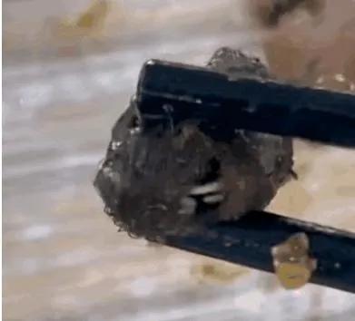 鼠头鸭脖是怎么被证实的,鼠头鸭脖事件全过程梳理