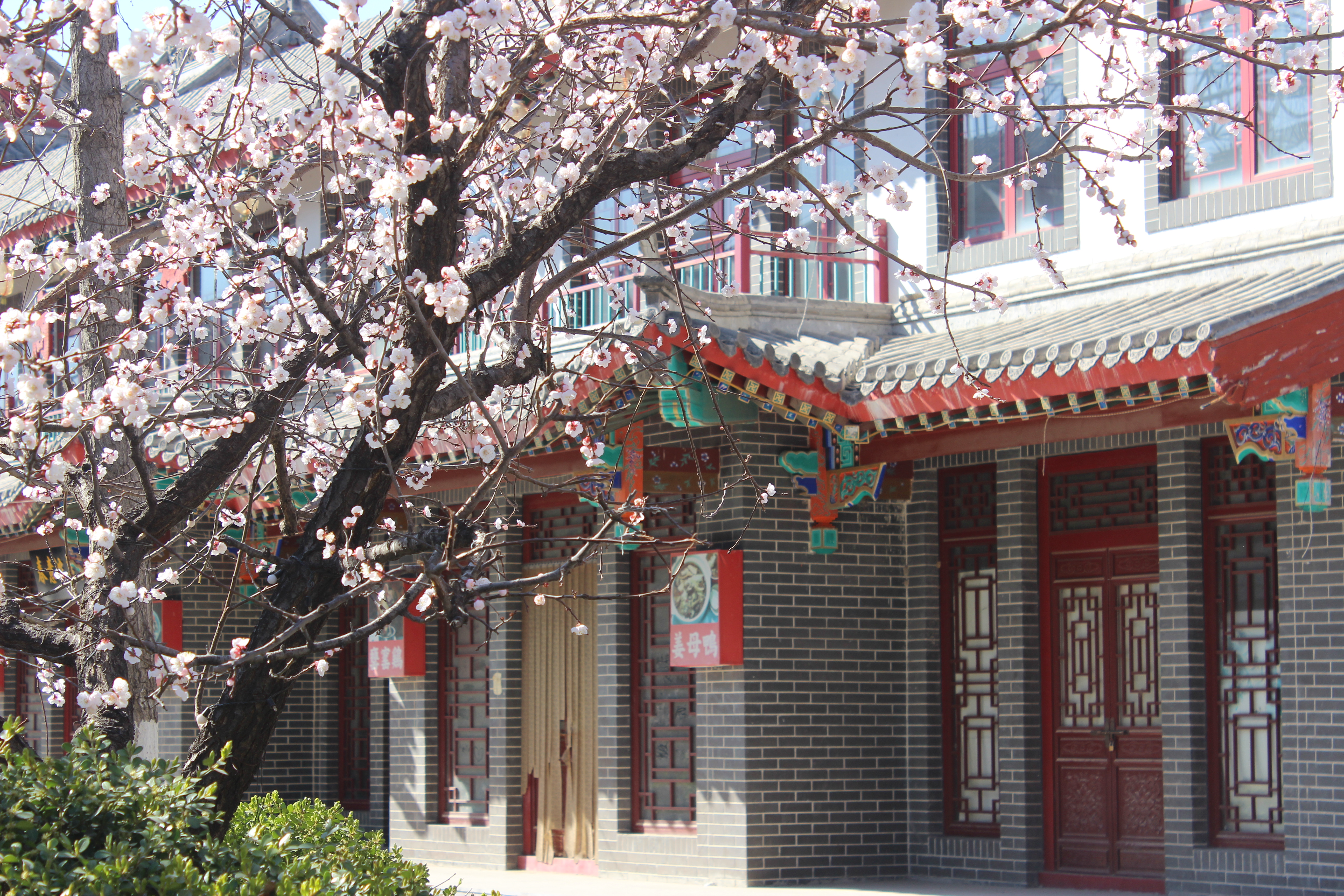 房产推荐和园,和园房子户型图大全