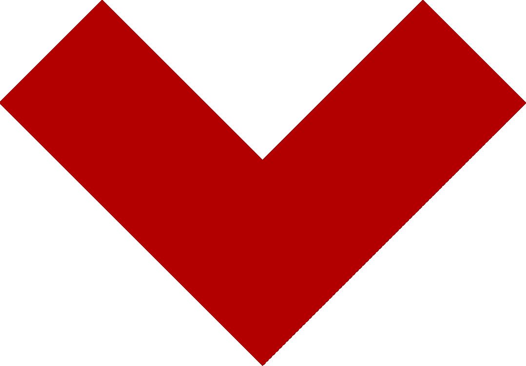 金城江公安抓捕,河池金城江抓捕事件