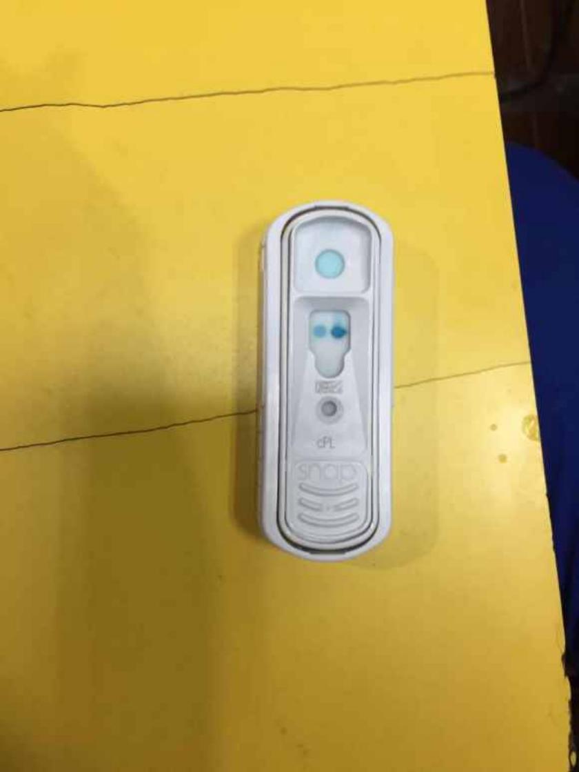 狗狗常见的十大疾病,狗狗三大疾病是哪三种