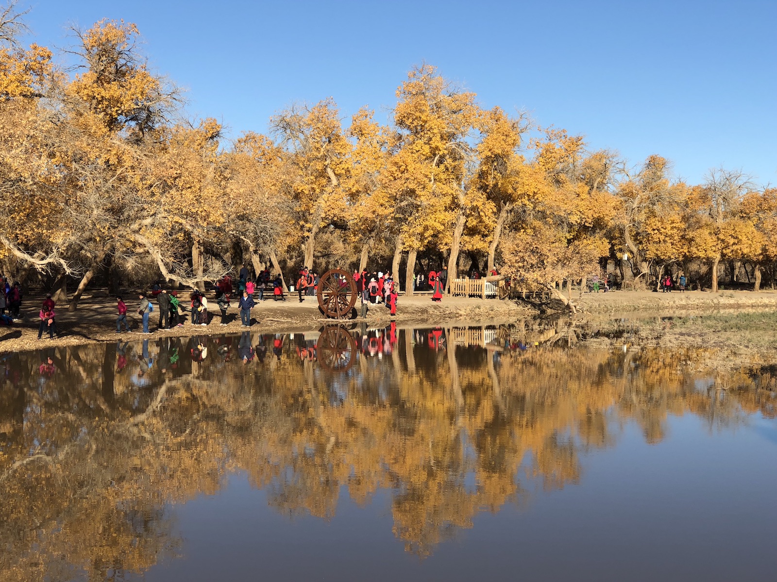北京自驾额济纳胡杨林十天攻略,从北京到额济纳胡杨林线路