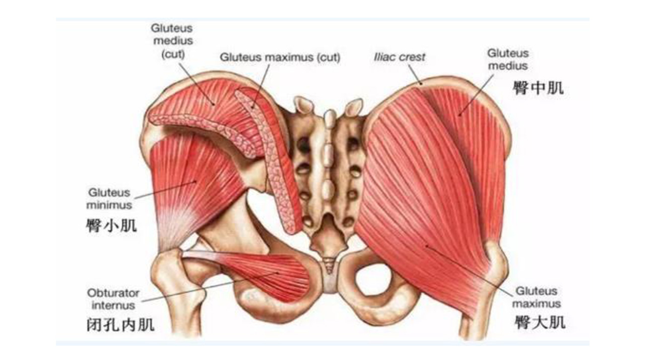 臀部疼痛和麻木怎么回事,臀部疼痛的原因及解决方法