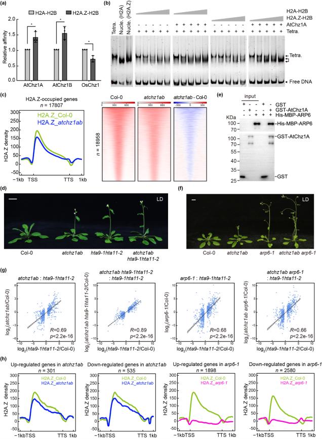 复旦医学院今年科研最新成果,复旦大学最新科研消息