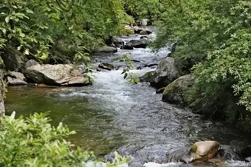 节衣缩食度过经济危机,节衣缩食和省吃俭用