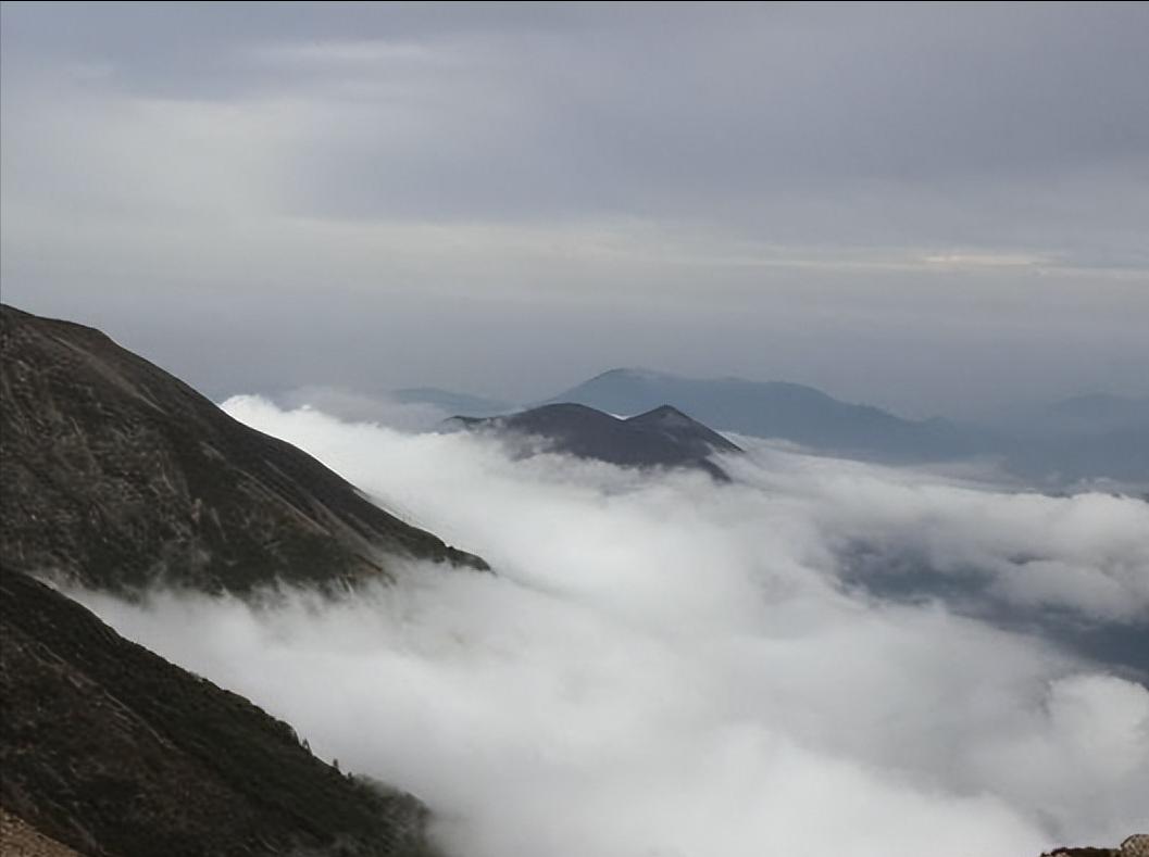 终南山隐居真实事件,真实记录终南山隐居