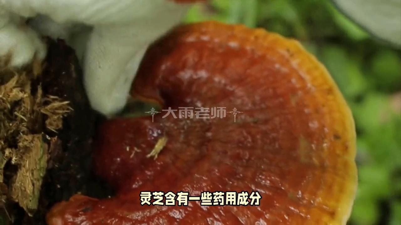 亲子教育直播,亲子教育机构加盟