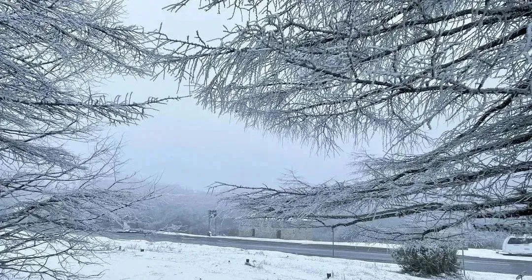 重庆到南天湖再到仙女山自驾路线,重庆仙女山看雪旅游攻略三天